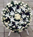 ܽʻԤ