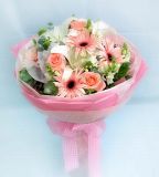 芙蓉鲜花速递