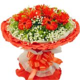 芙蓉鲜花速递
